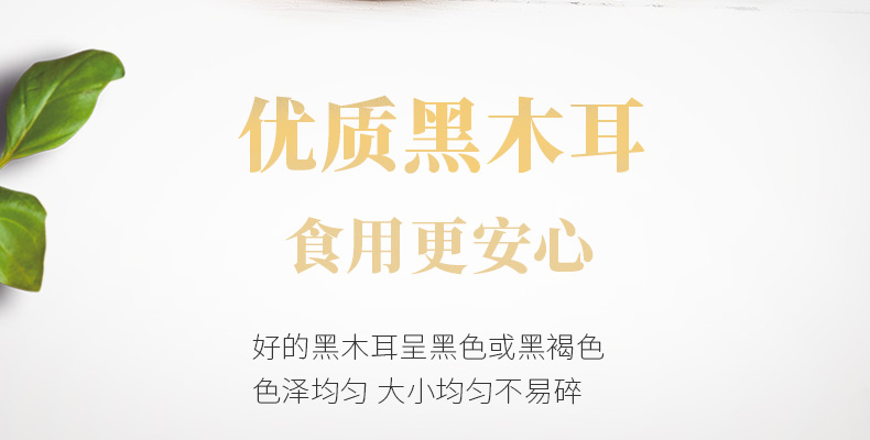 描述_05.jpg