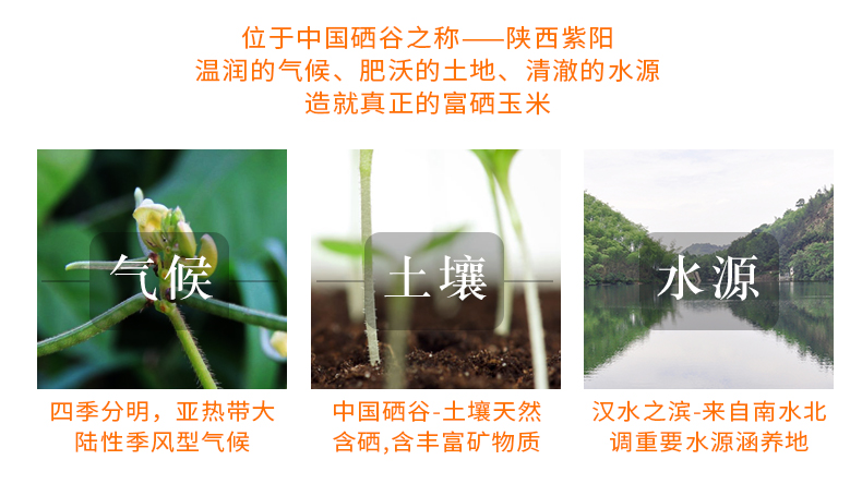 描述5.jpg