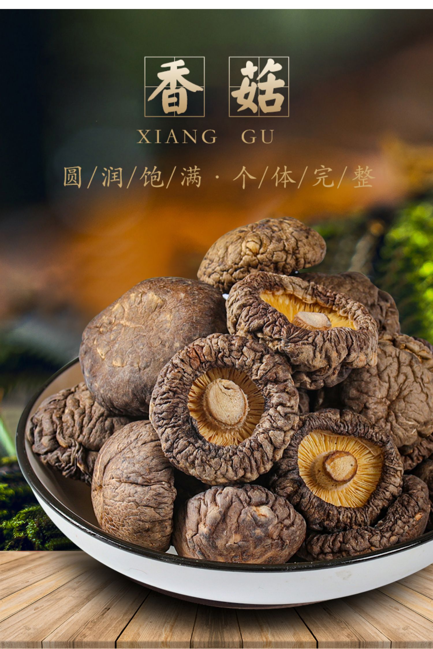 描述1.jpg