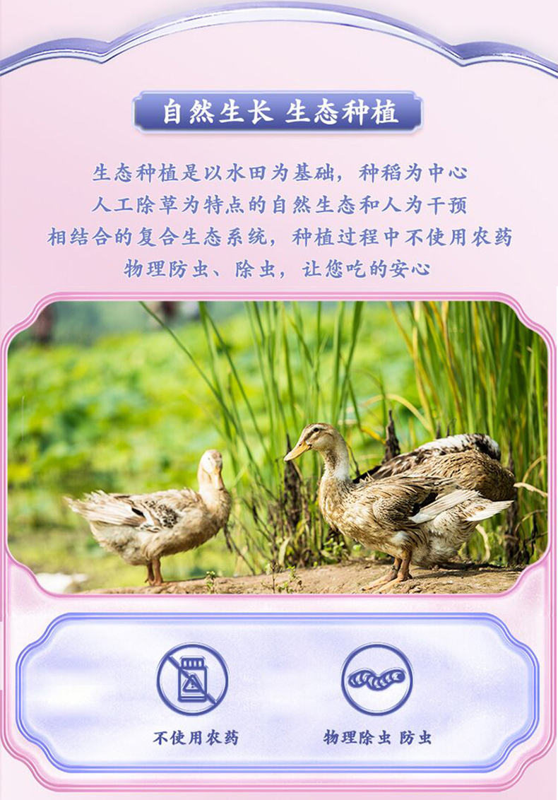 鲜+仙鹤_04.jpg