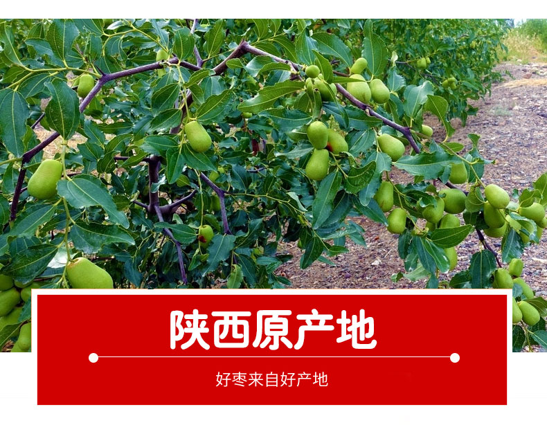 描述8.jpg