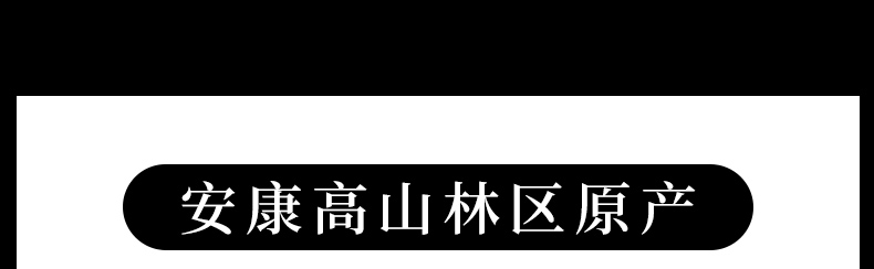 滑子菇2_07.jpg