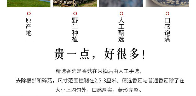 描述3.jpg