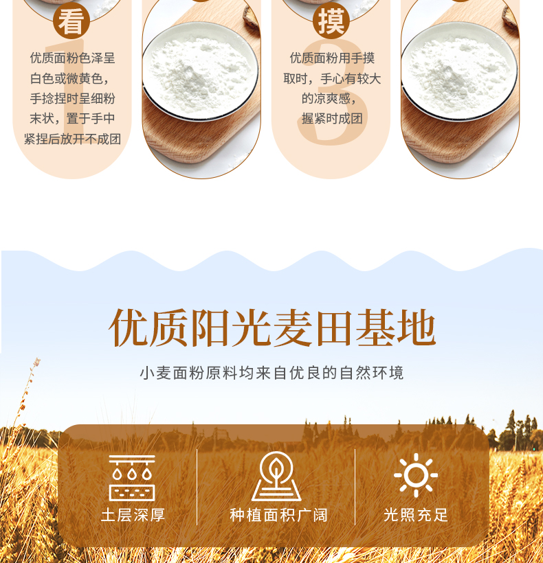 小麦面粉_04.jpg