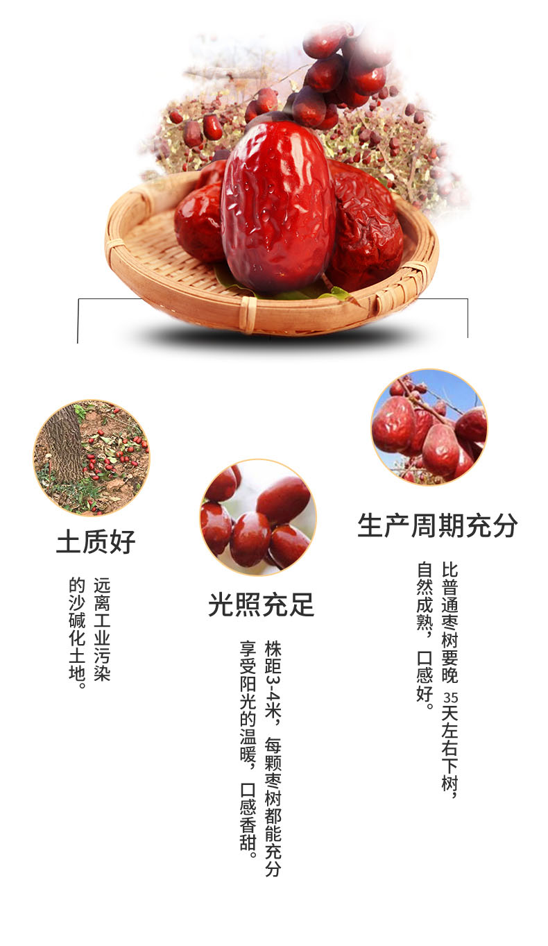 描述9.jpg