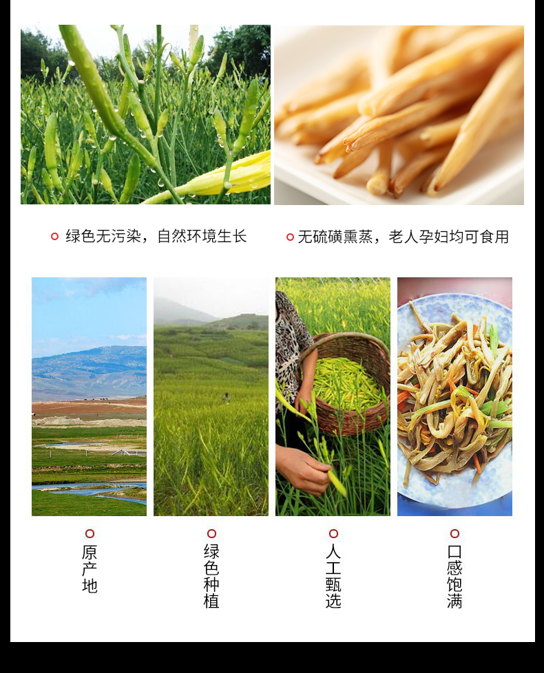 滑子菇2_08.jpg