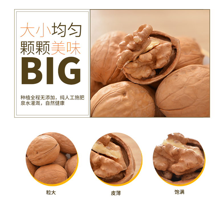 核桃1--4.jpg