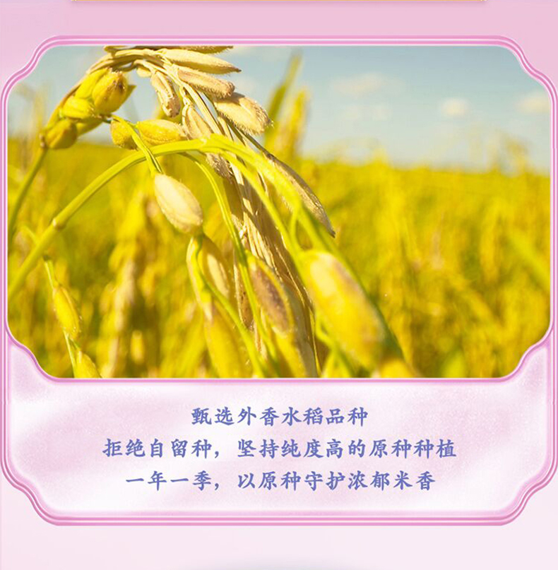 鲜+仙鹤_03.jpg