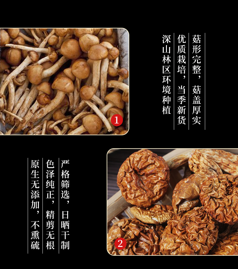 滑子菇2_09.jpg