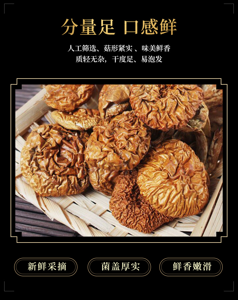 滑子菇2_04.jpg