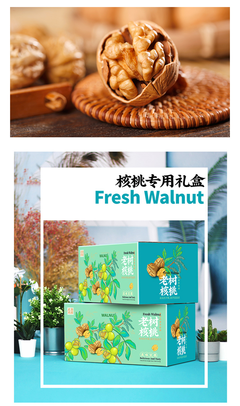 核桃1--8.jpg