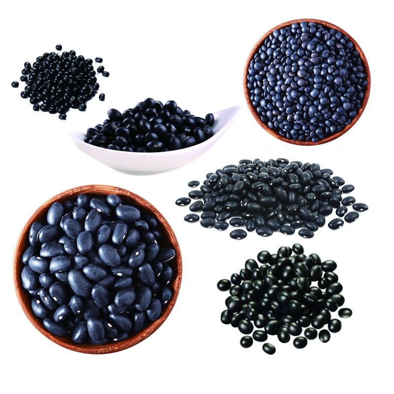 黑豆2.jpg