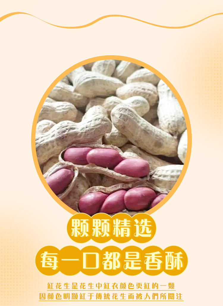 红花生_04.jpg