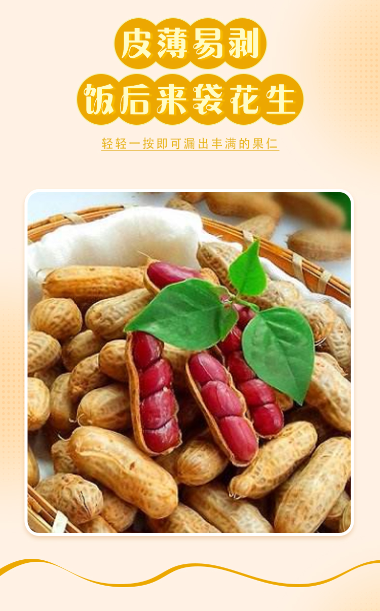 红花生_07.jpg