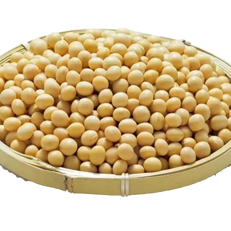 【泗阳禾满满】黄豆食堂专用 25kg/袋（4袋起发）