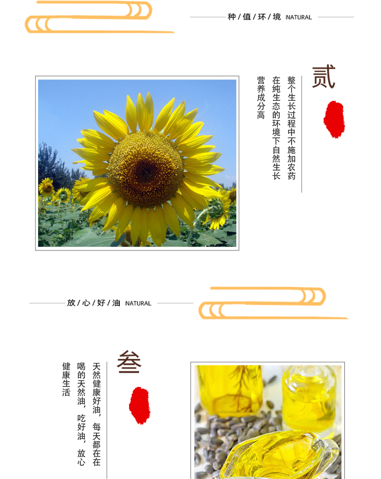 葵花籽油_04.jpg