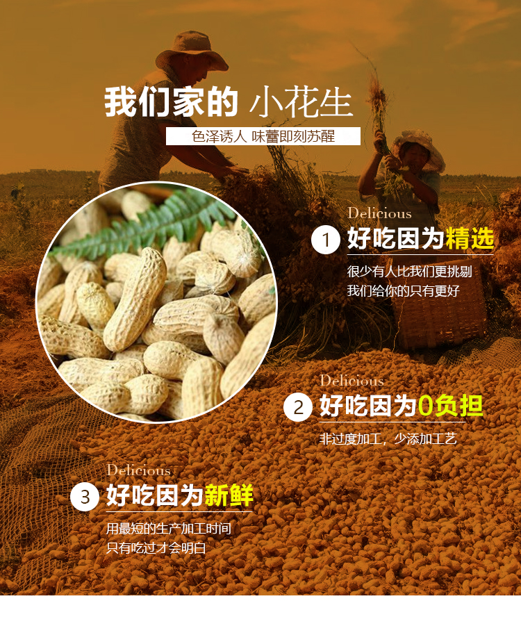 八集小花生_02.jpg