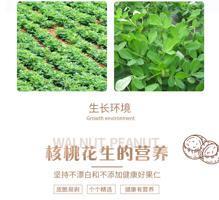 核桃味花生_05.jpg