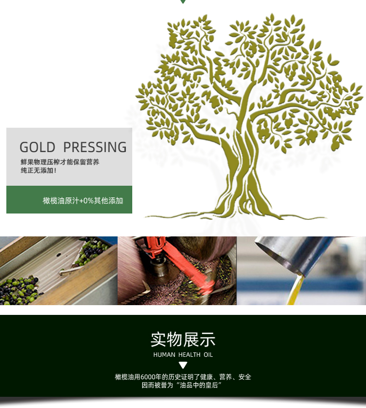 橄榄油_06.jpg