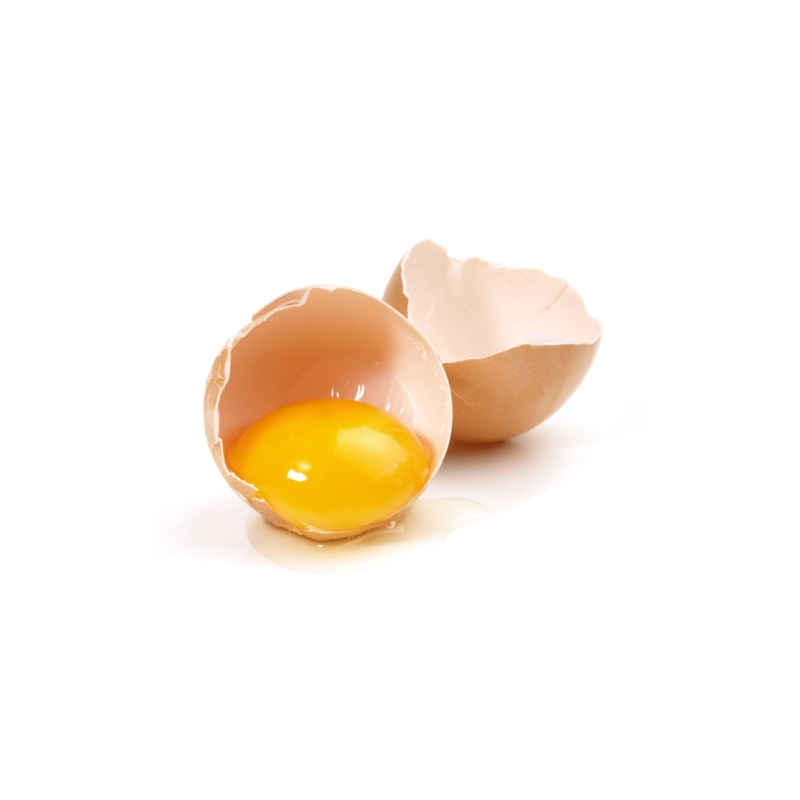 【泗阳禾满满】农家散养土鸡蛋食堂专用 360枚/箱（4箱起发）