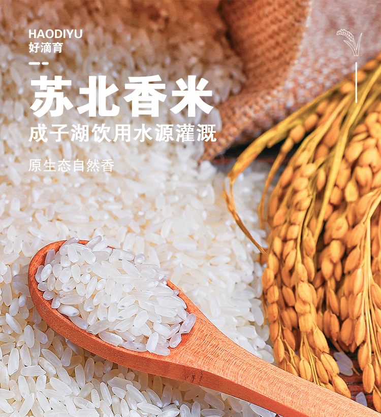 苏北香米_01.jpg