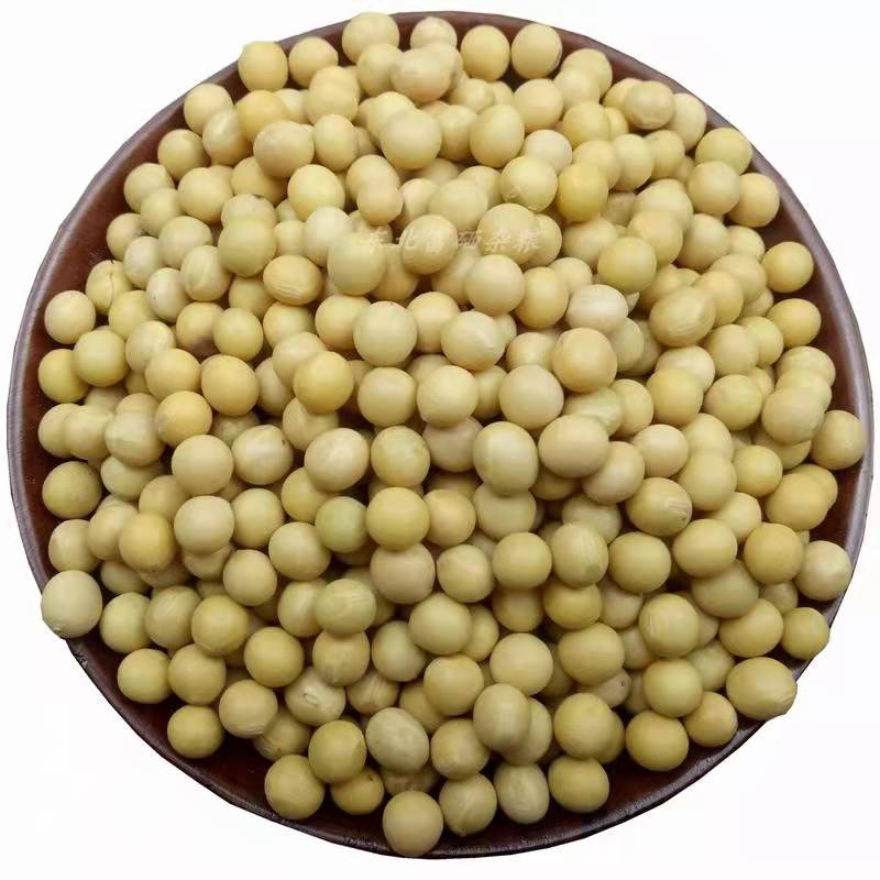 【滨海振强】美之味农家有机磨豆浆黄豆1225克/袋