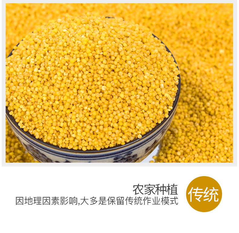 小米1_07.jpg