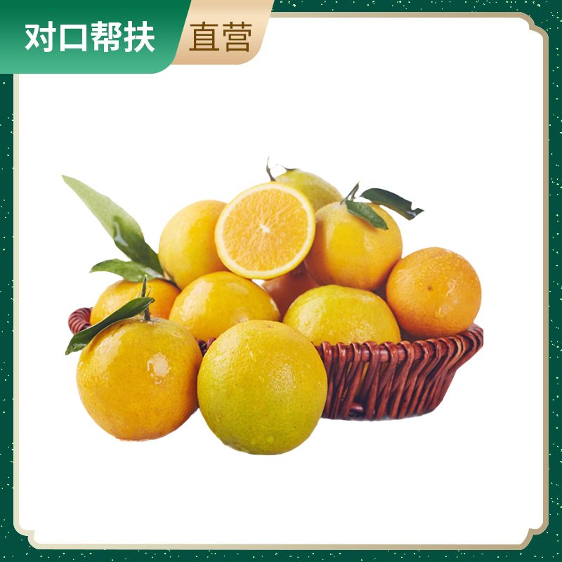 【乡村振兴 · 消费助农 · 产地直发】秭归脐橙夏橙10斤大果（净重9斤）新鲜营养橙香浓郁酸甜多汁