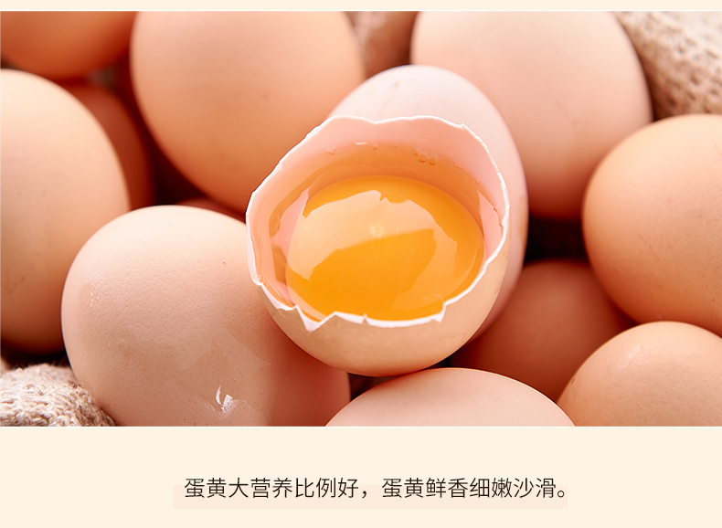 谷饲鸡蛋_07.png