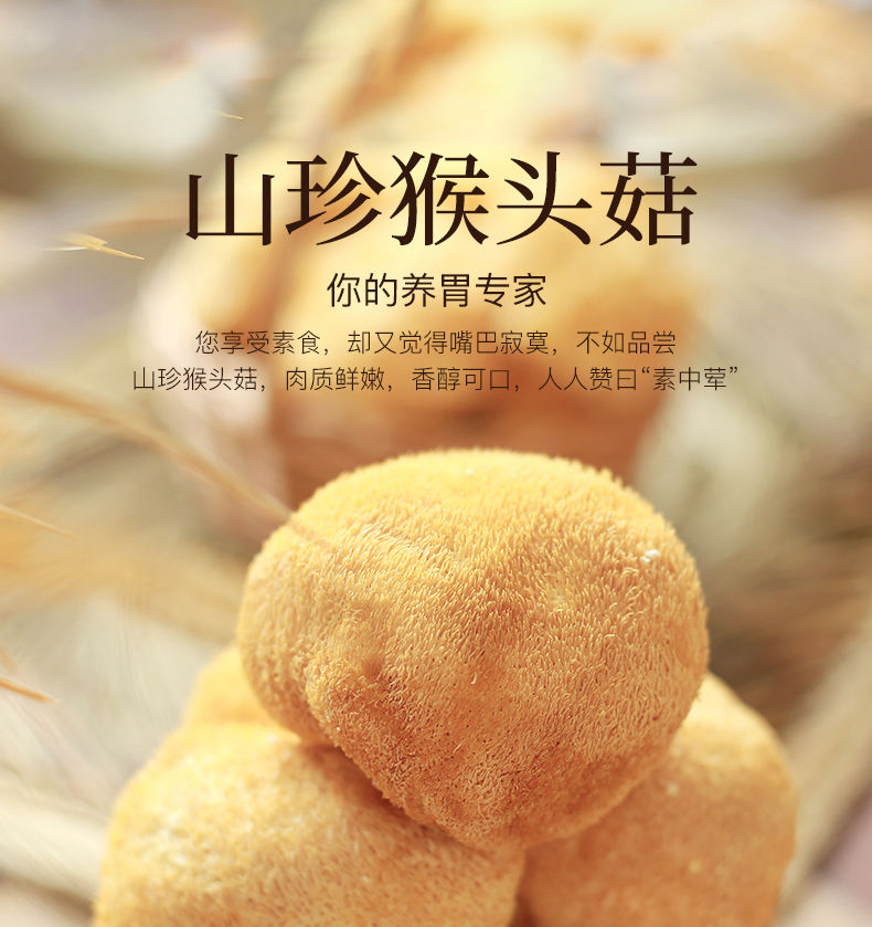 猴头菇_01.jpg