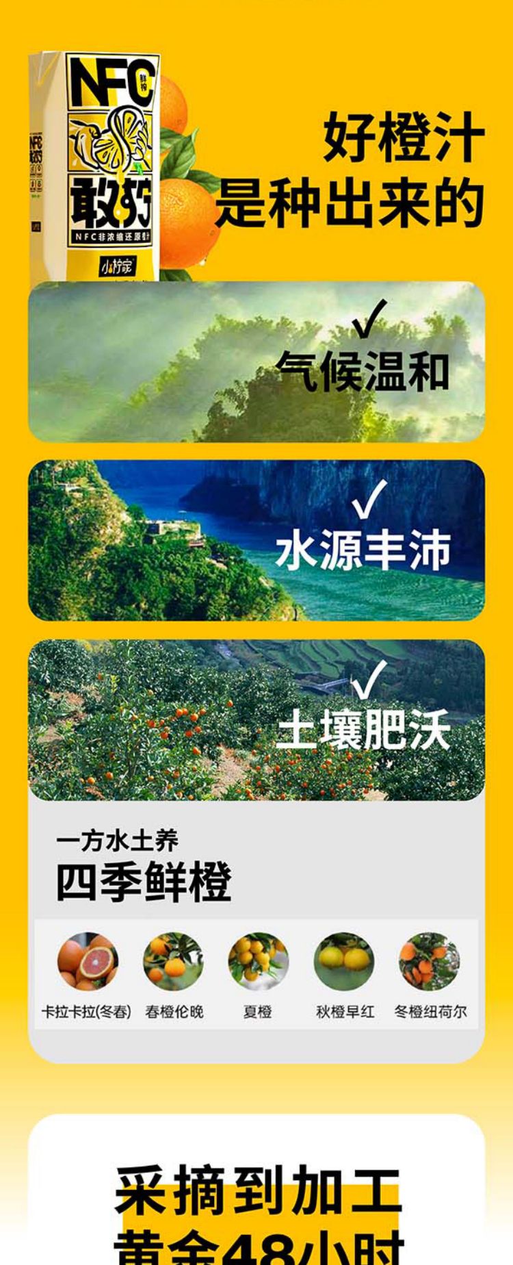 详情页1 (6).jpg