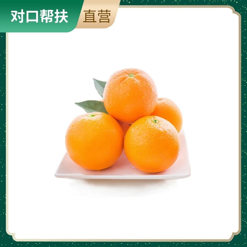 【乡村振兴 · 消费助农 · 产地直发】正宗秭归脐橙 伦晚春橙  8斤精品礼盒（70-85）