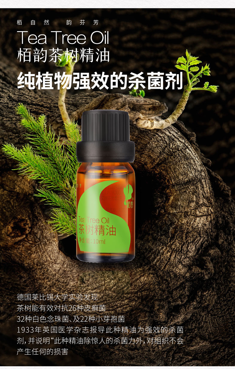 茶树详情页 (4).jpg