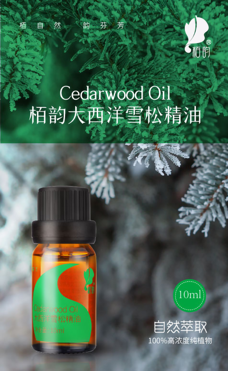 雪松详情页_01.jpg