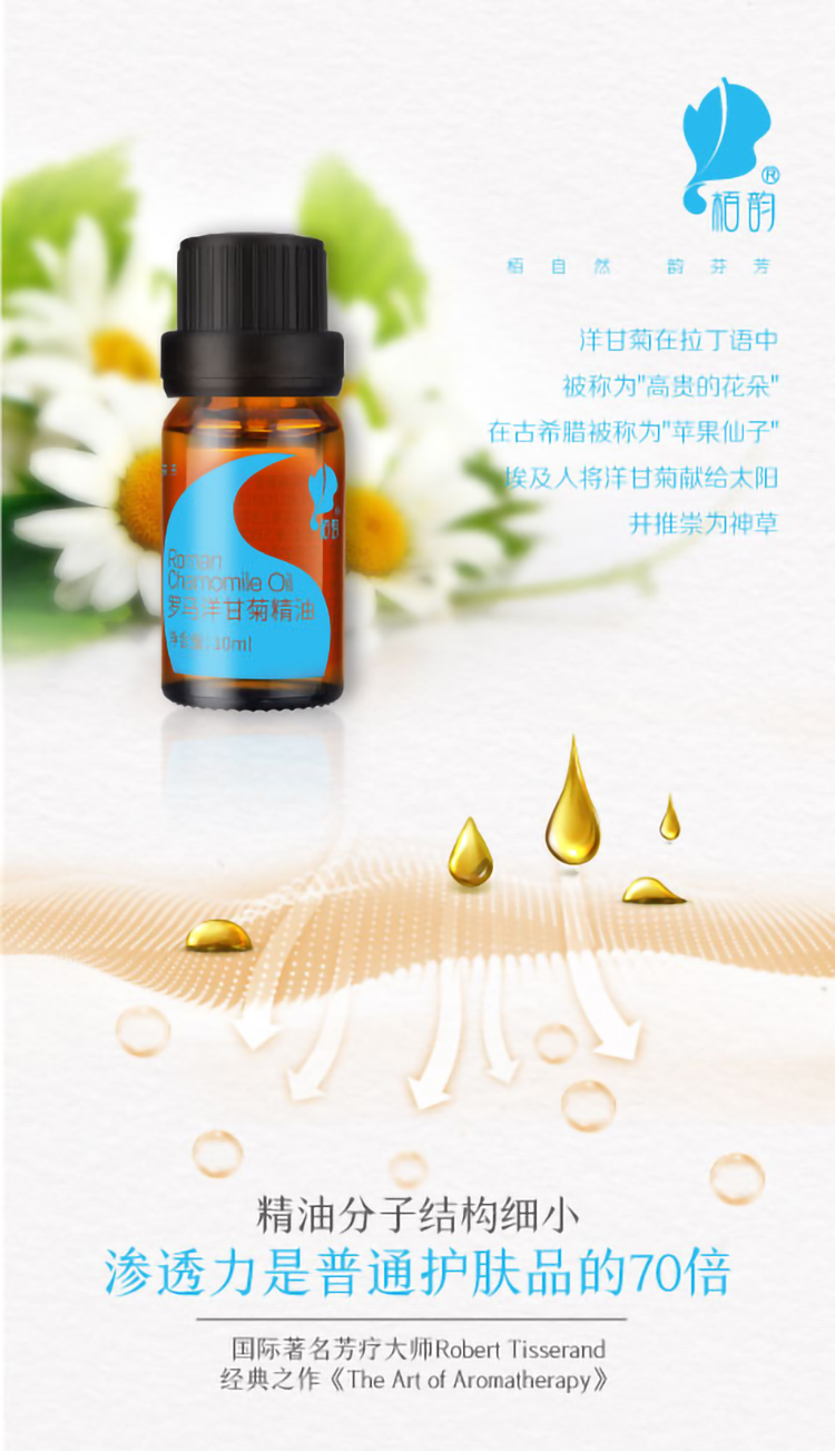 洋甘菊详情页_02.jpg