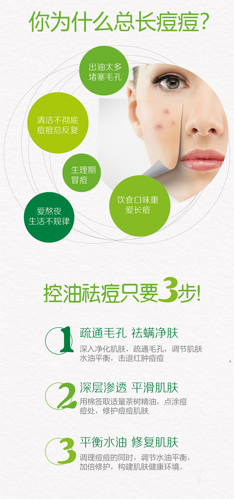 茶树详情页 (3).jpg