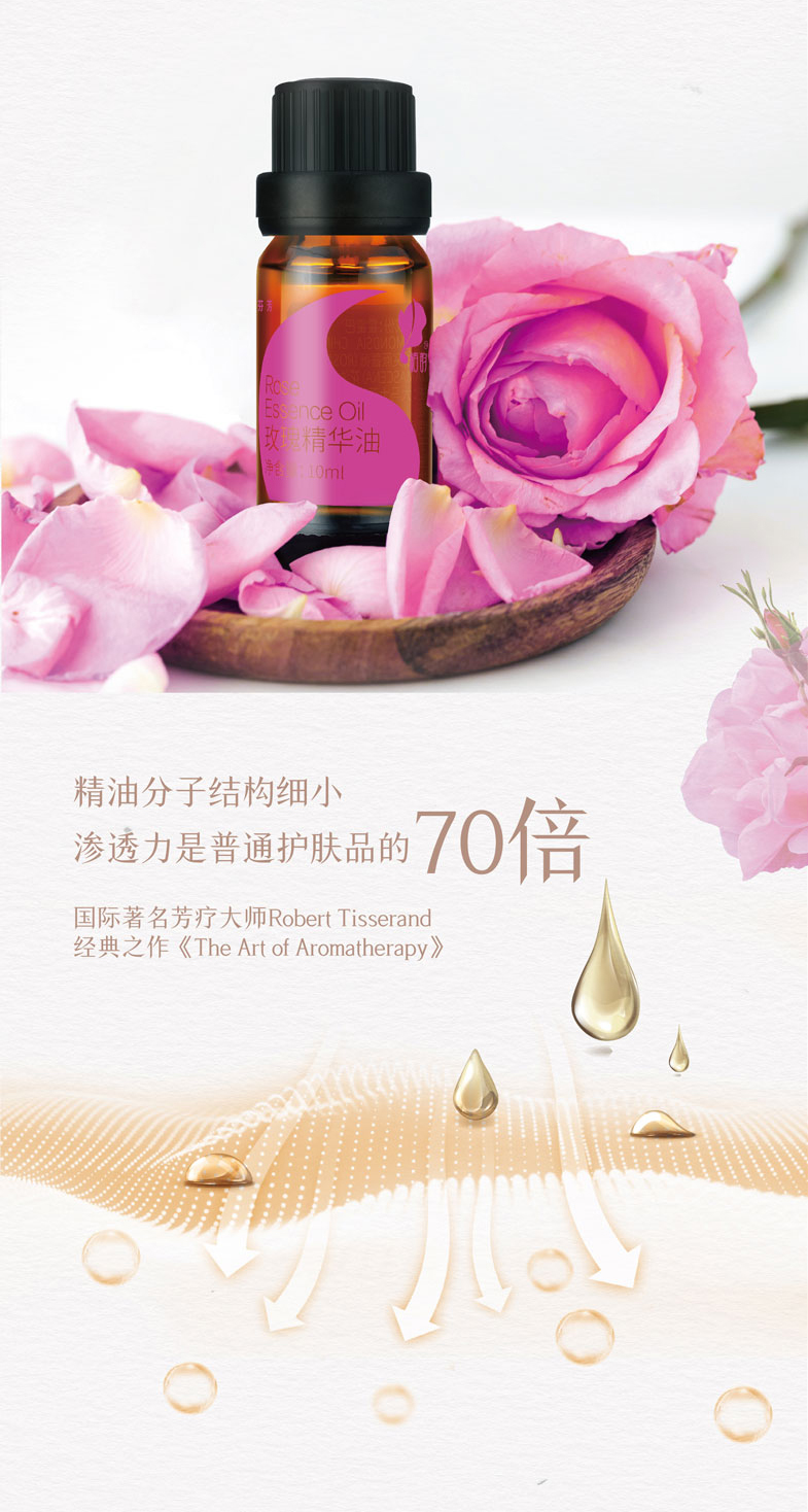玫瑰-(4)_03.jpg