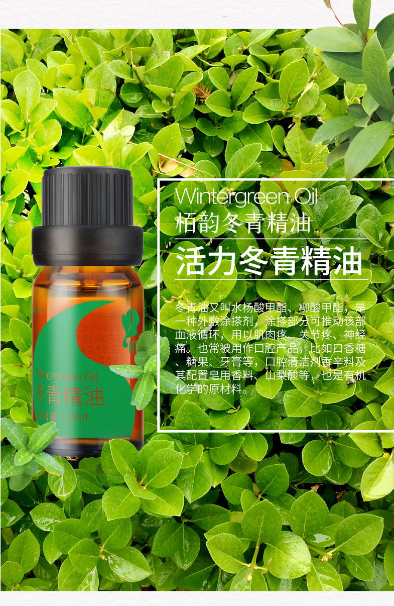 冬青详情页--(5).jpg