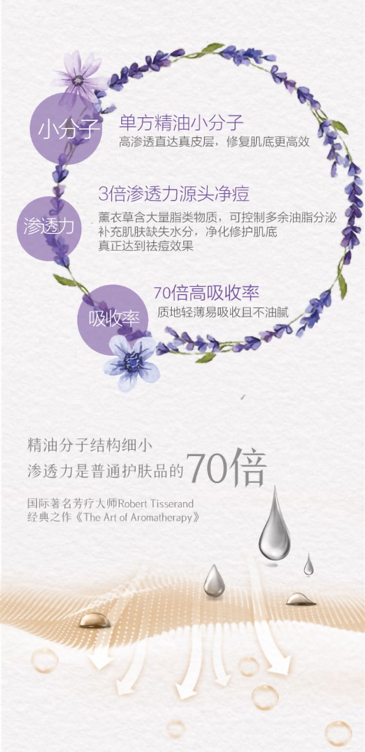 薰衣草详情节_04.jpg