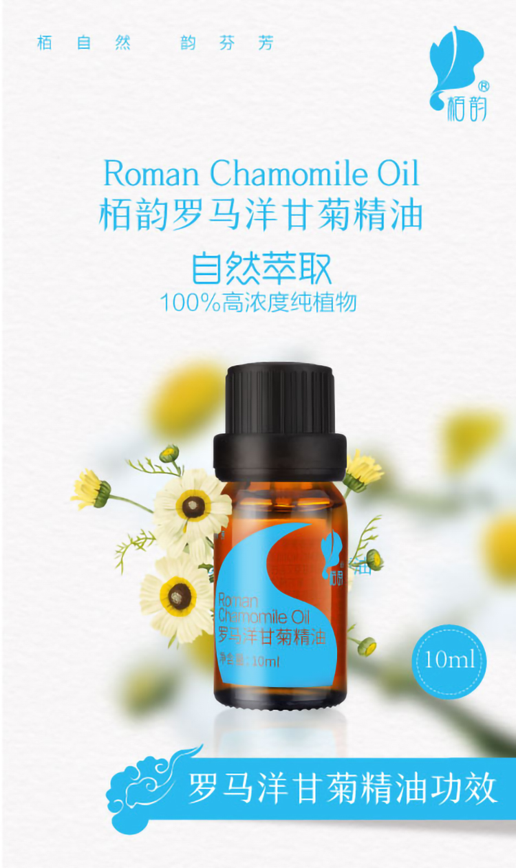 洋甘菊详情页_01.jpg