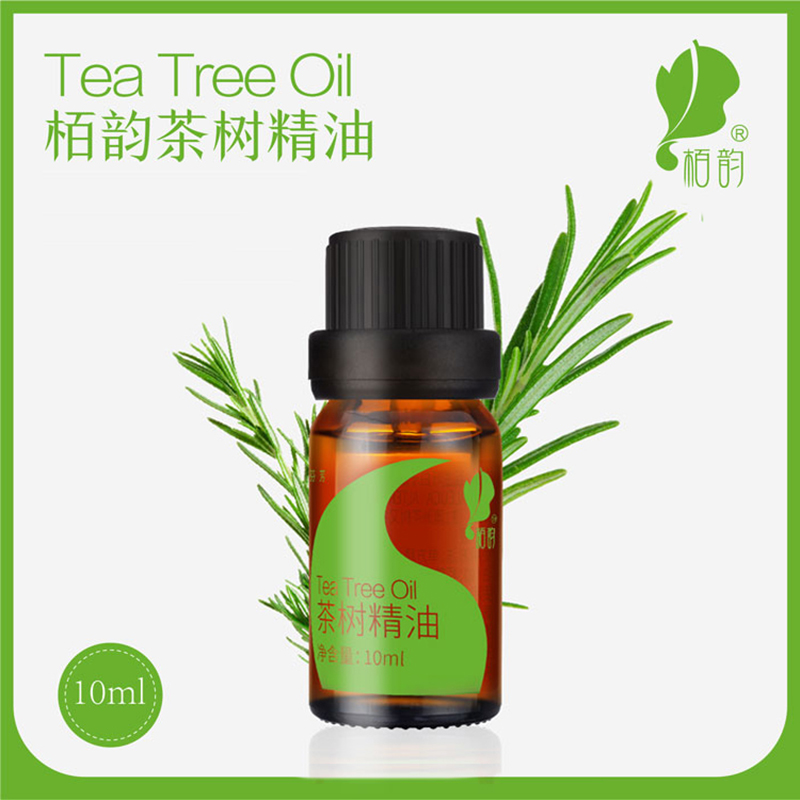 栢韵茶树精油 10ml