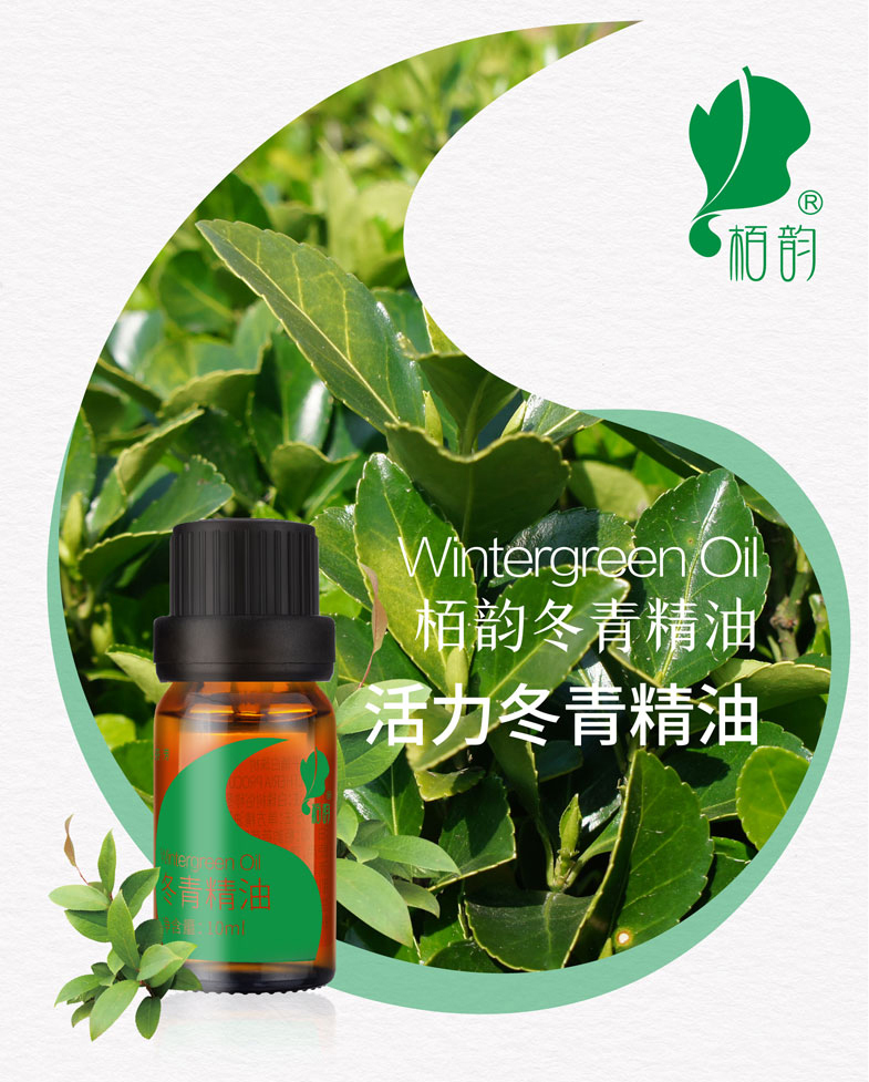 冬青详情页--(2).jpg