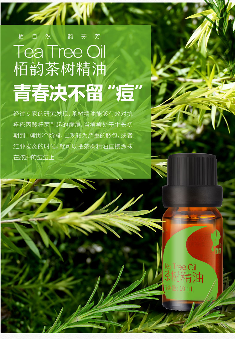 茶树详情页 (2).jpg