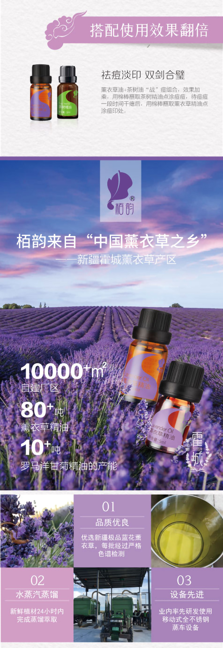 薰衣草详情节_08.jpg