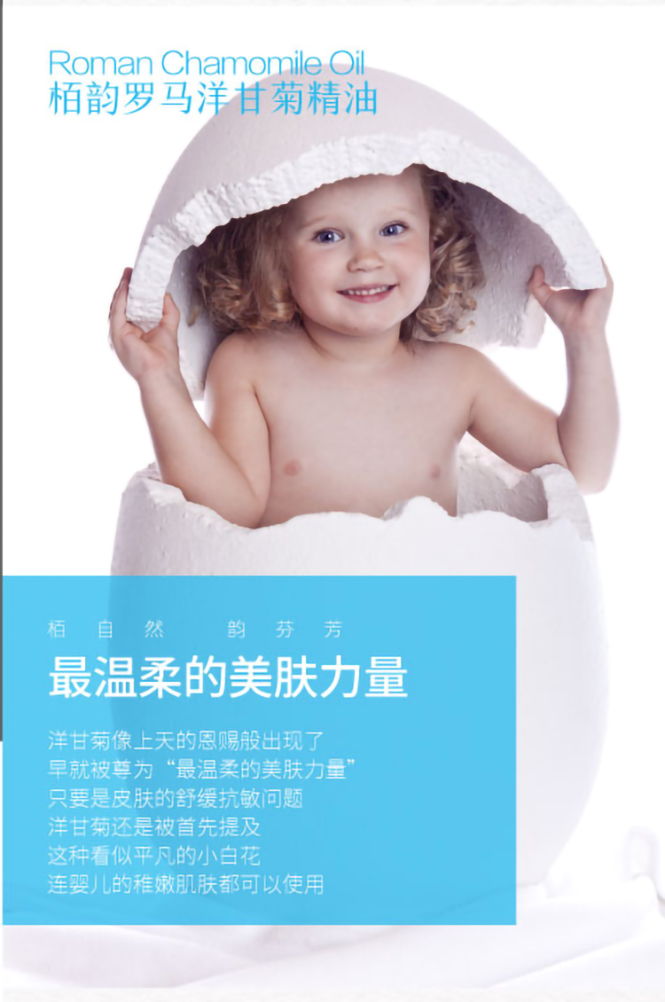 洋甘菊详情页_04.jpg