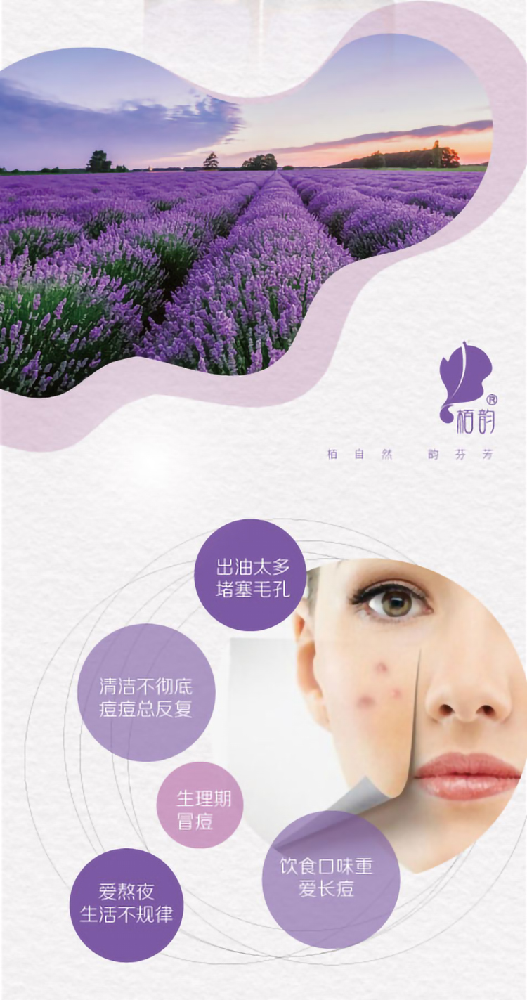 薰衣草详情节_02.jpg