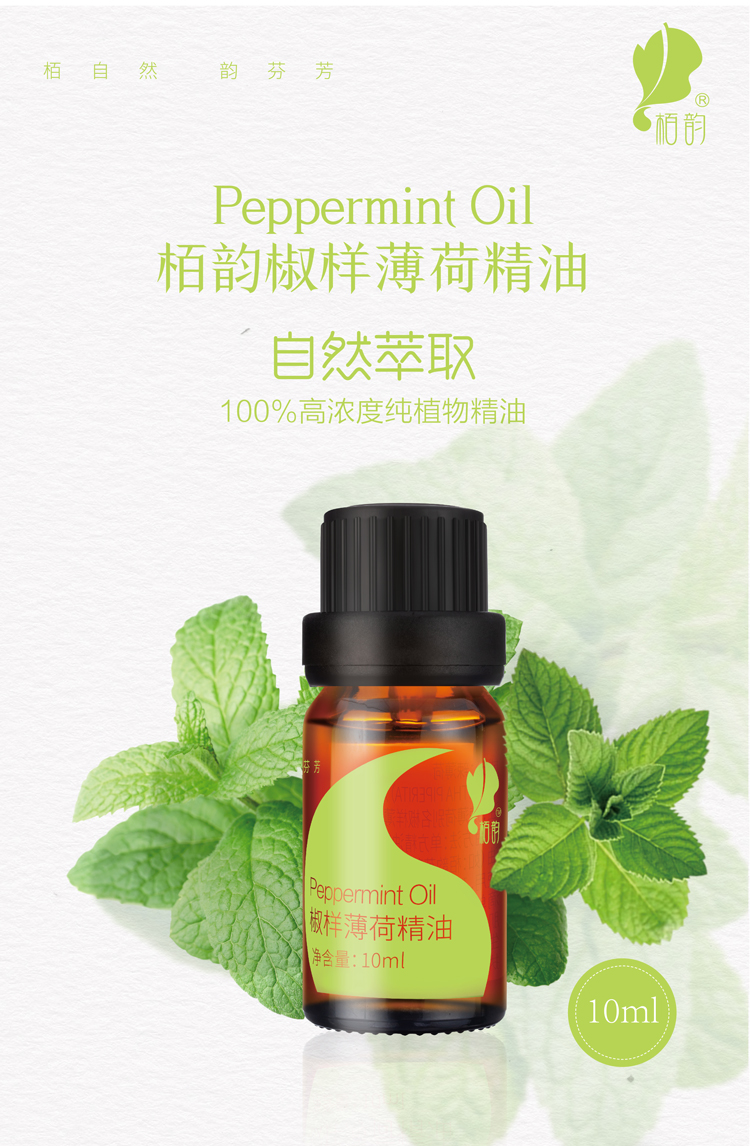 薄荷-01.jpg