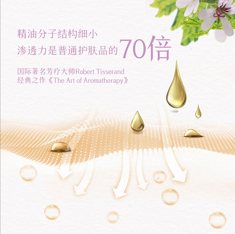 天竺葵详情页-01_02.jpg