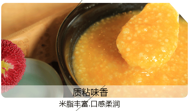 小米_08.gif