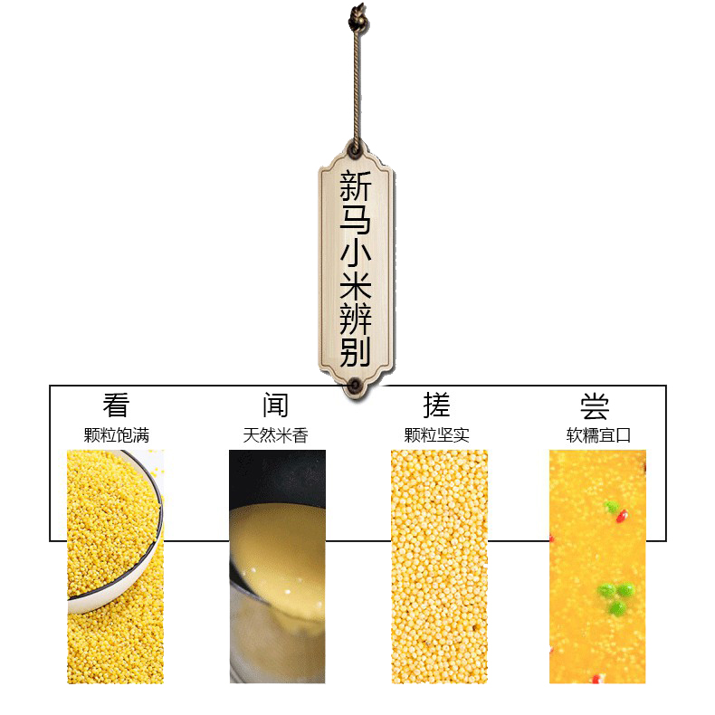 小米_06.jpg